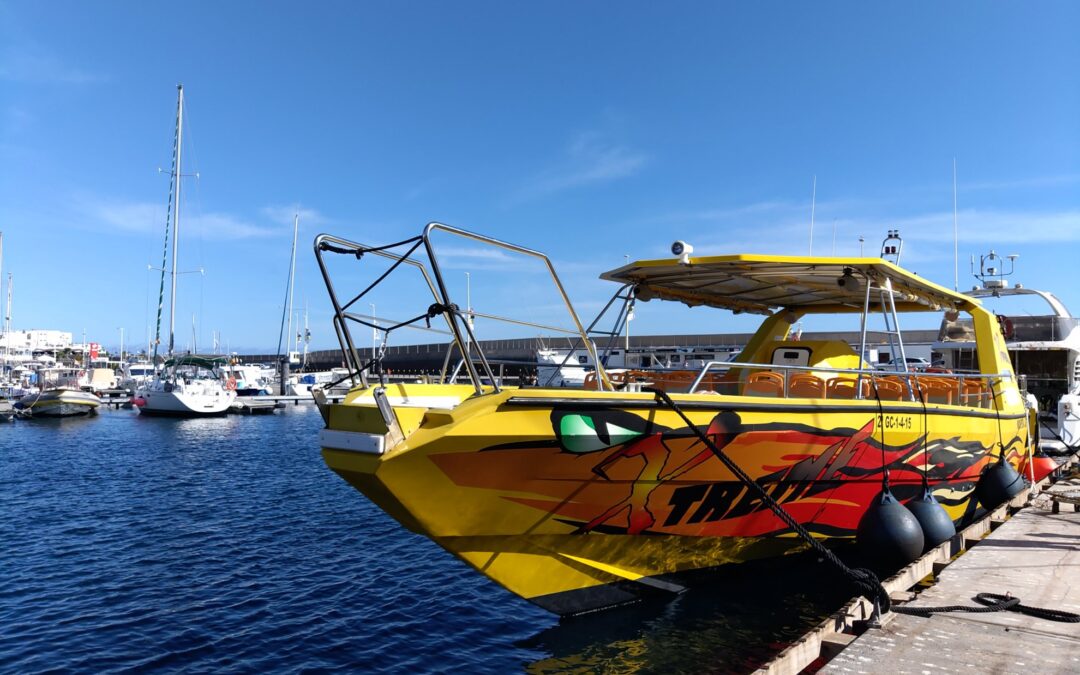 Lanzarote 2019 | Sonnenuntergangs- und Delfinbootsfahrt