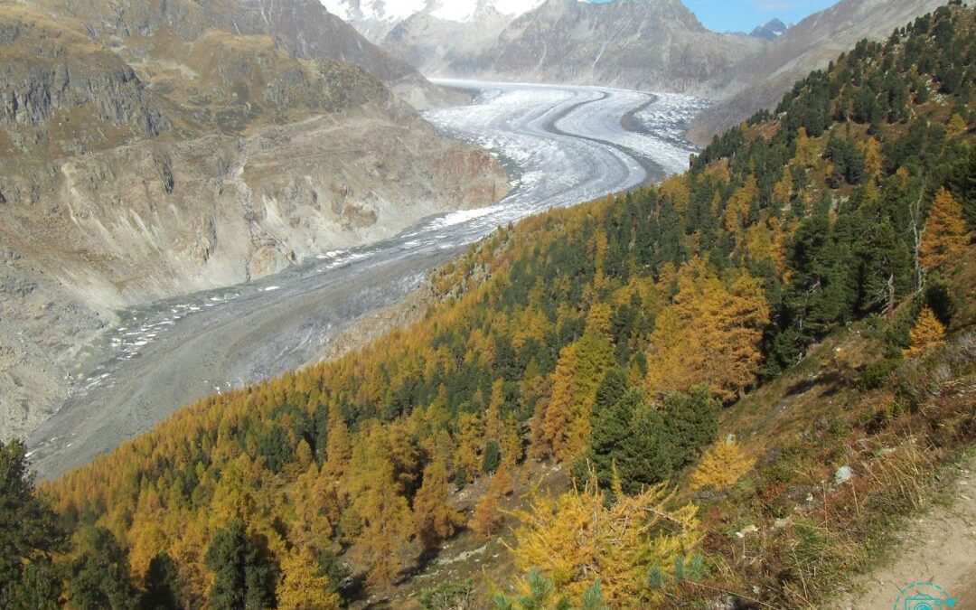 Aletschgletscher 2010