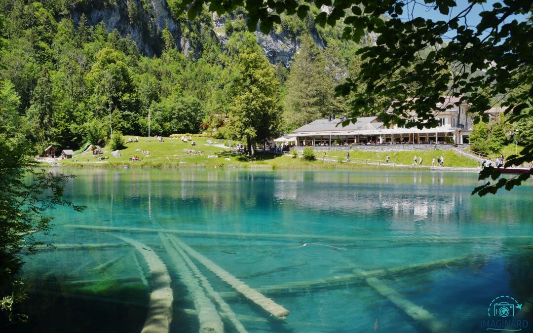 Blausee 2020