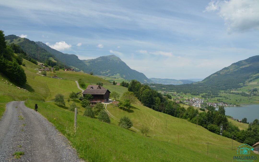 Lauerzersee „Blick zur Rigi“ Rundwanderung 2020