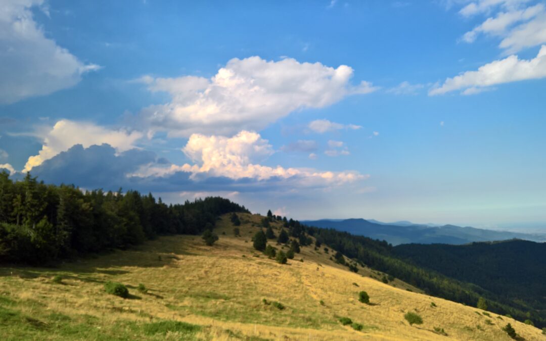 Munster im Elsass