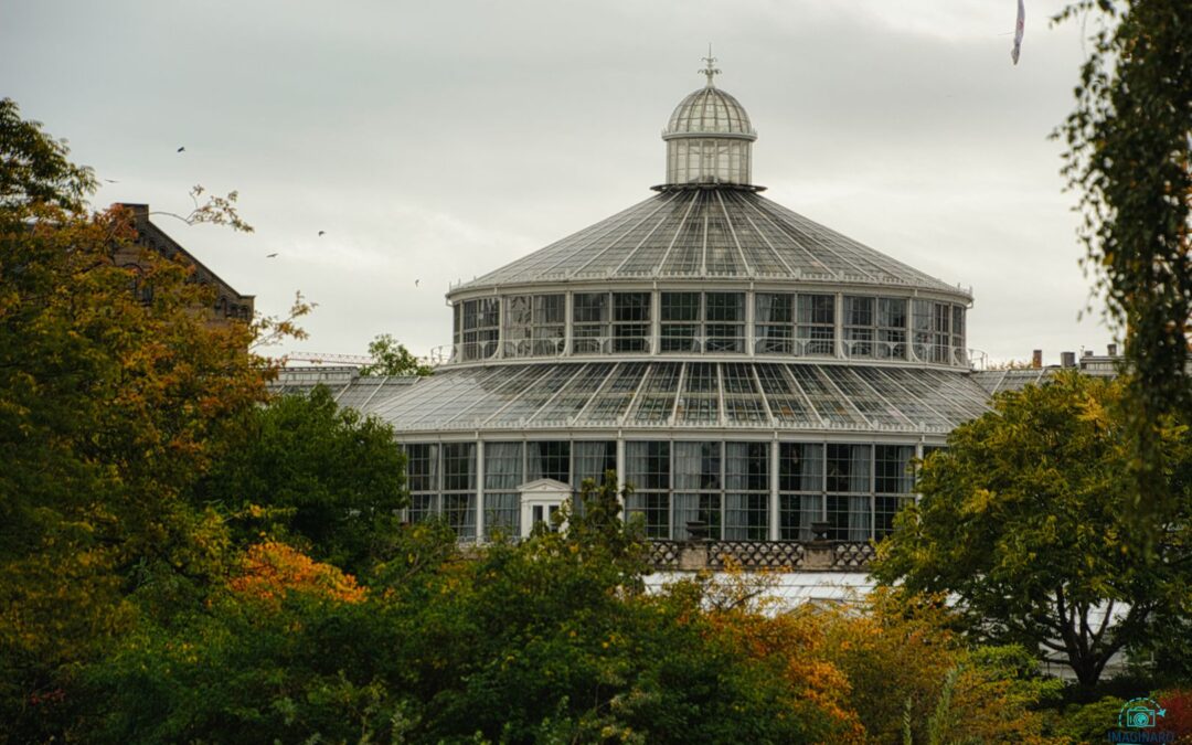 Kopenhagen 2021 | Botanisk Have