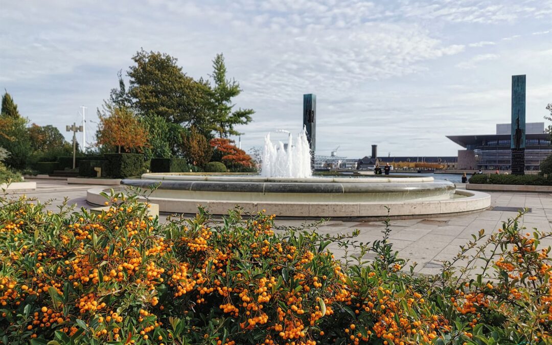 Kopenhagen 2021 | Amalie Garden